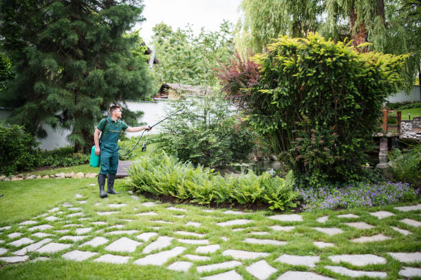Pest Control Cost in Sweet Springs, MO