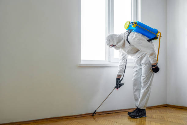 Pest Control for Restaurants in Sweet Springs, MO