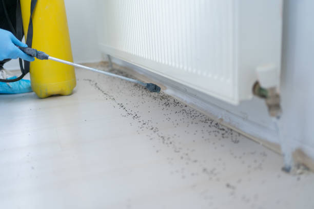 Best Pest Control for Homes  in Sweet Springs, MO