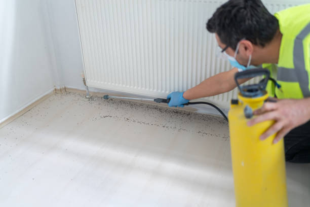 Best Emergency Pest Control  in Sweet Springs, MO