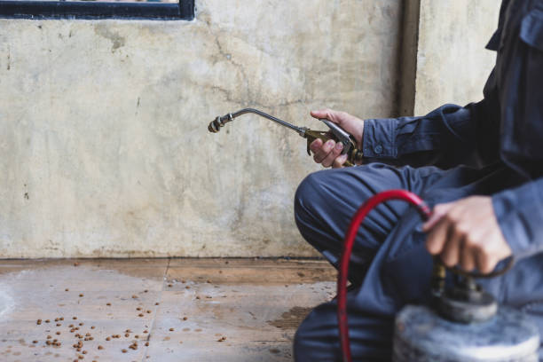 Best Pest Control Near Me  in Sweet Springs, MO